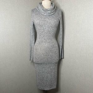 Sans Souci Long Sleeve Turtle Neck Dress